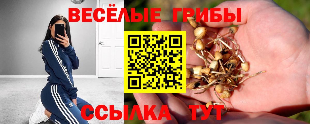 Зеленокумск  Галлюциногенные грибы Magic Shrooms  Галлюциногенные грибы GOLDEN TEACHER  Вход с VPN 