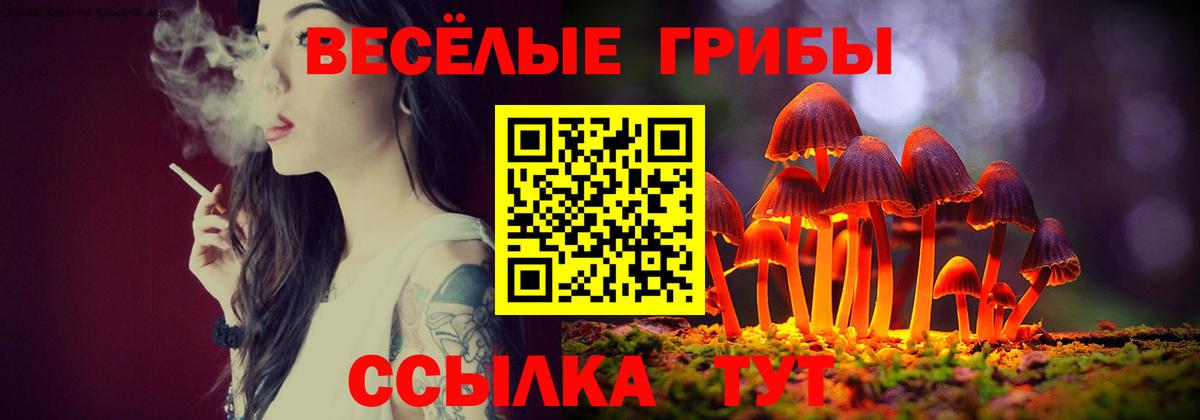 Галлюциногенные грибы Cubensis Зеленокумск